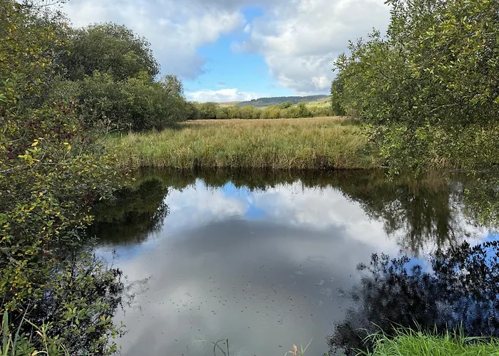 Rusty With View Vendégház Blacklion